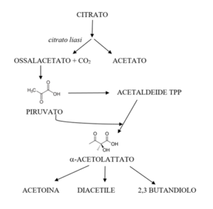 maturazione dei formaggi